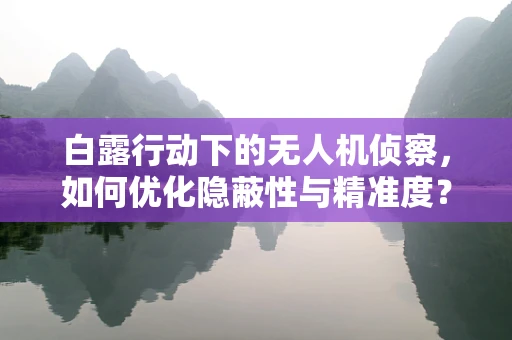 白露行动下的无人机侦察，如何优化隐蔽性与精准度？