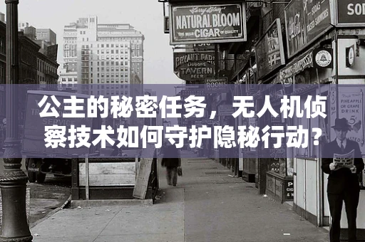 公主的秘密任务，无人机侦察技术如何守护隐秘行动？