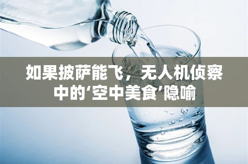 如果披萨能飞，无人机侦察中的‘空中美食’隐喻