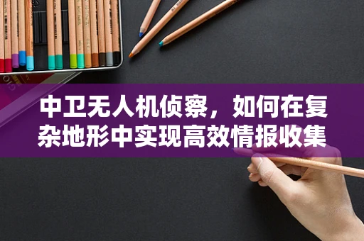 中卫无人机侦察，如何在复杂地形中实现高效情报收集？