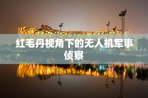 红毛丹视角下的无人机军事侦察