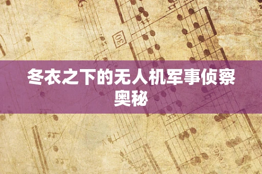 冬衣之下的无人机军事侦察奥秘