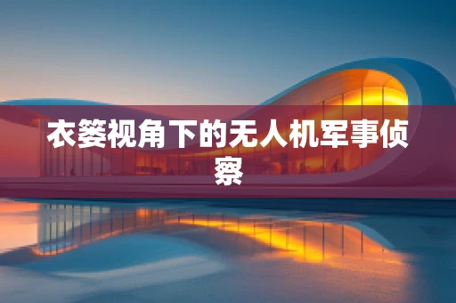 衣篓视角下的无人机军事侦察