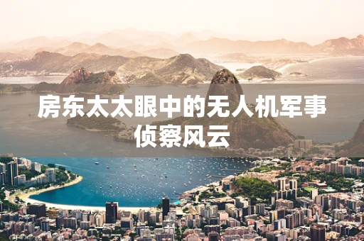 房东太太眼中的无人机军事侦察风云