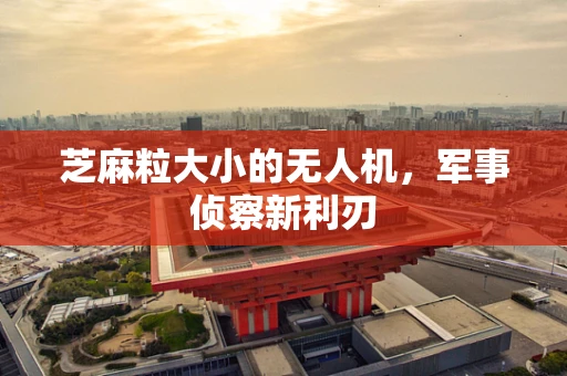芝麻粒大小的无人机，军事侦察新利刃