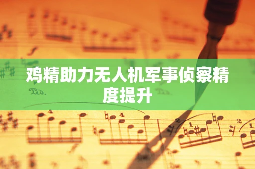 鸡精助力无人机军事侦察精度提升