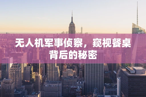 无人机军事侦察，窥视餐桌背后的秘密