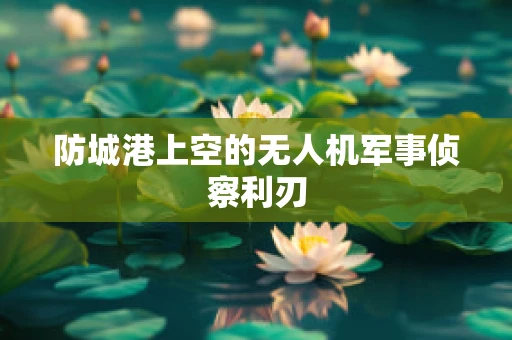 防城港上空的无人机军事侦察利刃