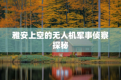 雅安上空的无人机军事侦察探秘