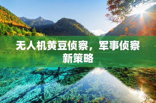 无人机黄豆侦察，军事侦察新策略