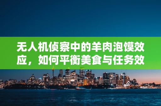 无人机侦察中的羊肉泡馍效应，如何平衡美食与任务效率？