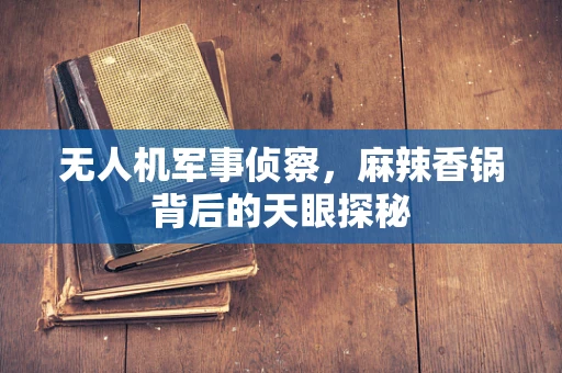 无人机军事侦察，麻辣香锅背后的天眼探秘