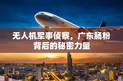 无人机军事侦察，广东肠粉背后的秘密力量