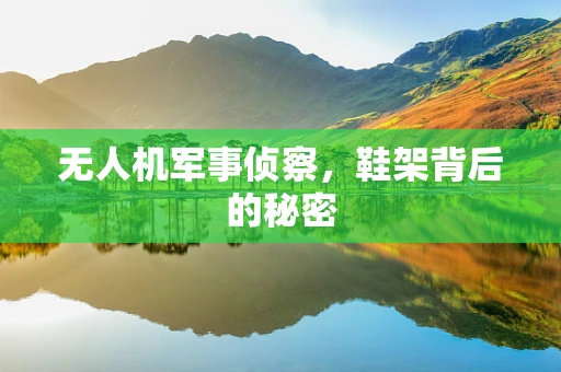 无人机军事侦察，鞋架背后的秘密
