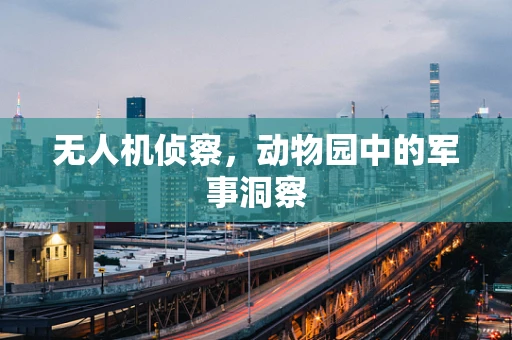 无人机侦察，动物园中的军事洞察