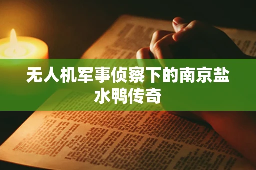 无人机军事侦察下的南京盐水鸭传奇