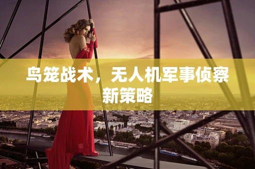 鸟笼战术，无人机军事侦察新策略