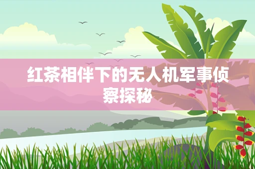红茶相伴下的无人机军事侦察探秘
