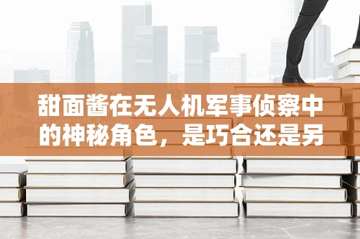 甜面酱在无人机军事侦察中的神秘角色，是巧合还是另有玄机？