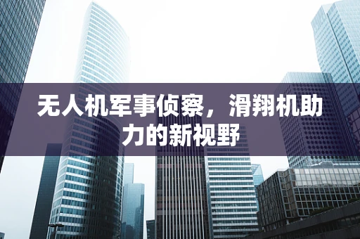 无人机军事侦察，滑翔机助力的新视野