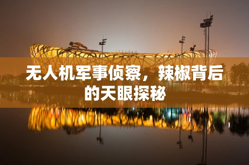 无人机军事侦察，辣椒背后的天眼探秘