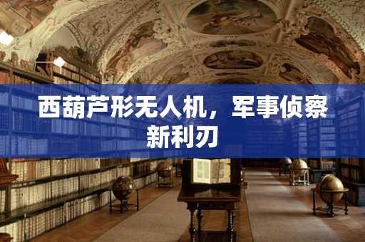 西葫芦形无人机，军事侦察新利刃