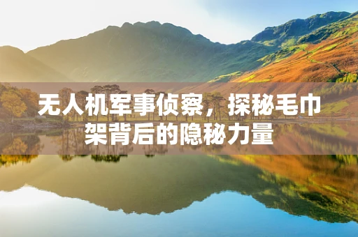 无人机军事侦察，探秘毛巾架背后的隐秘力量