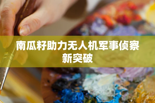 南瓜籽助力无人机军事侦察新突破