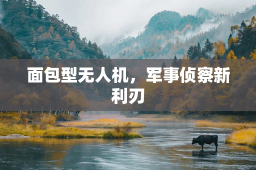 面包型无人机，军事侦察新利刃