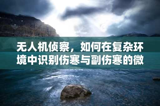 无人机侦察，如何在复杂环境中识别伤寒与副伤寒的微生物威胁？