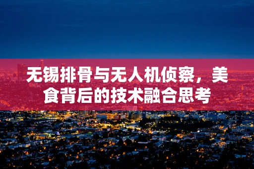 无锡排骨与无人机侦察，美食背后的技术融合思考