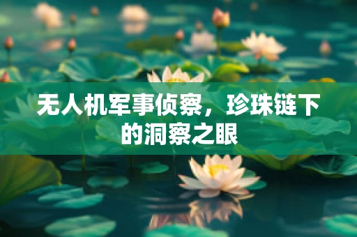 无人机军事侦察，珍珠链下的洞察之眼