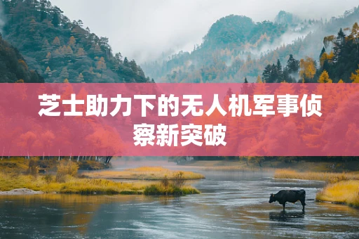 芝士助力下的无人机军事侦察新突破