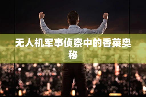 无人机军事侦察中的香菜奥秘
