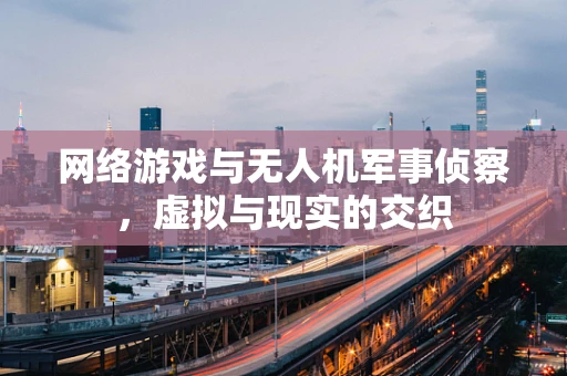 网络游戏与无人机军事侦察，虚拟与现实的交织