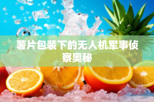 薯片包装下的无人机军事侦察奥秘