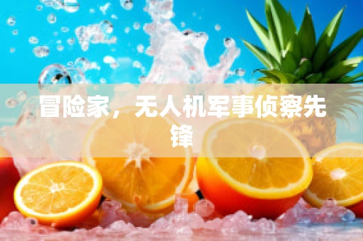 冒险家，无人机军事侦察先锋