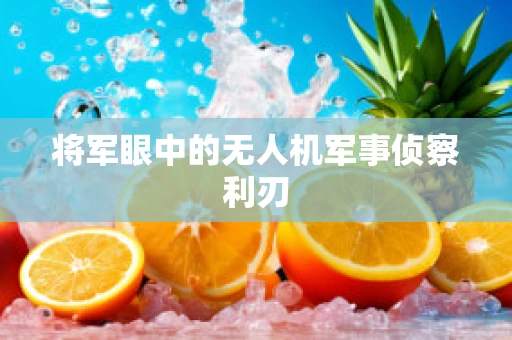 将军眼中的无人机军事侦察利刃