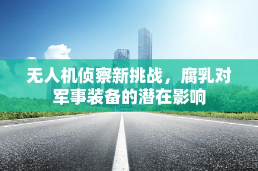 无人机侦察新挑战，腐乳对军事装备的潜在影响
