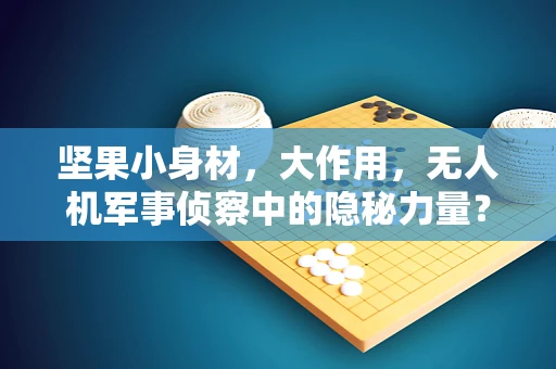 坚果小身材，大作用，无人机军事侦察中的隐秘力量？
