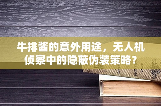 牛排酱的意外用途，无人机侦察中的隐蔽伪装策略？