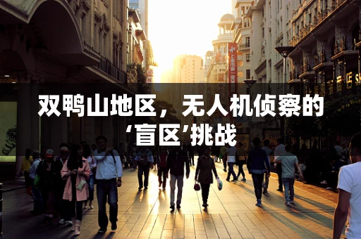双鸭山地区，无人机侦察的‘盲区’挑战