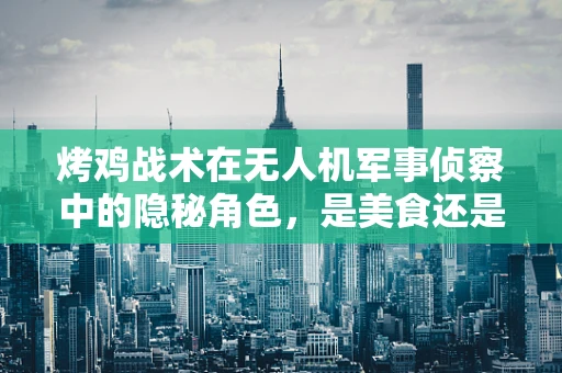 烤鸡战术在无人机军事侦察中的隐秘角色，是美食还是战略？