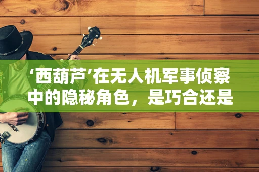 ‘西葫芦’在无人机军事侦察中的隐秘角色，是巧合还是战略布局？