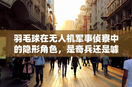 羽毛球在无人机军事侦察中的隐形角色，是奇兵还是噱头？
