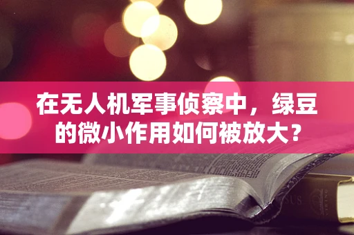 在无人机军事侦察中，绿豆的微小作用如何被放大？