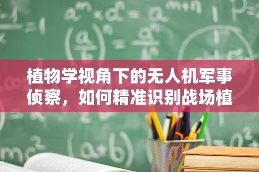 植物学视角下的无人机军事侦察，如何精准识别战场植被变化？