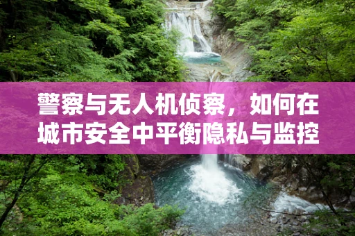 警察与无人机侦察，如何在城市安全中平衡隐私与监控？