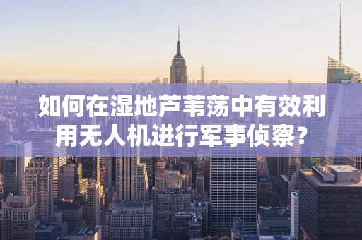 如何在湿地芦苇荡中有效利用无人机进行军事侦察？