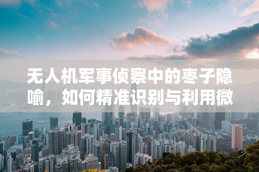 无人机军事侦察中的枣子隐喻，如何精准识别与利用微小目标？